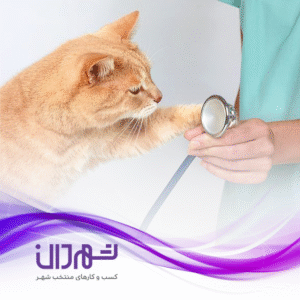 کلینیک حیوانات رویال رشت